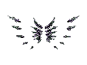 Wings of Darkness